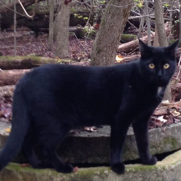 Meet your Posher, Kelly - Picture 1 of 1